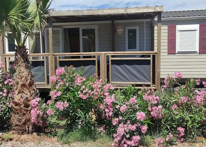 Mobil Home Palmiers 1